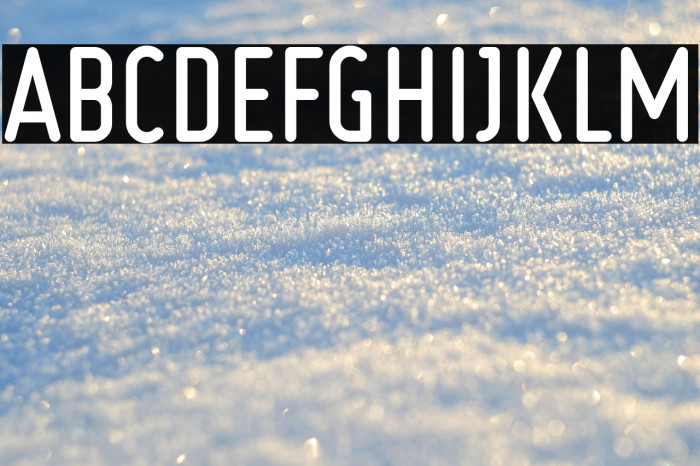 Ruler Bold Example 2