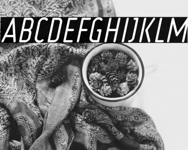 Ruler Italic Font examples