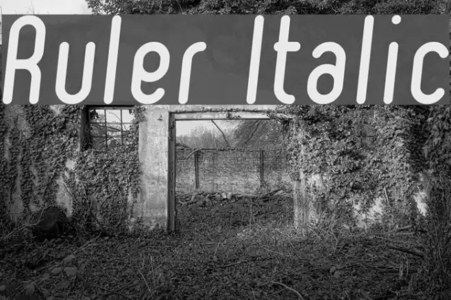 Ruler Italic Font examples