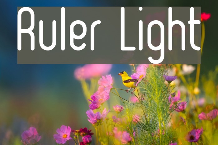 Ruler Light Font examples