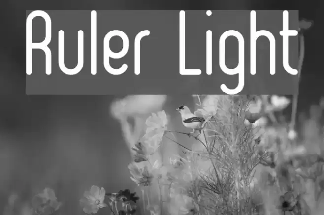 Ruler Light Font examples