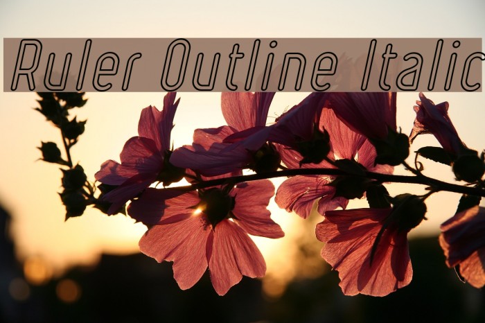 Ruler Outline Italic Font examples