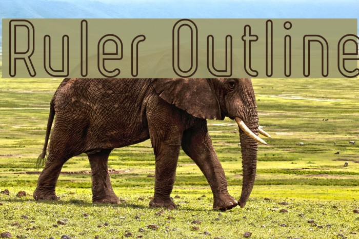 Ruler Outline Font examples