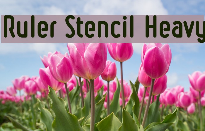 Ruler Stencil Heavy Font examples