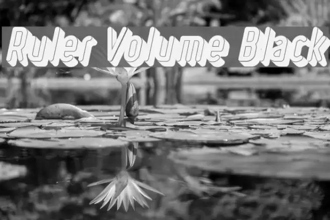 Ruler Volume Black Font examples
