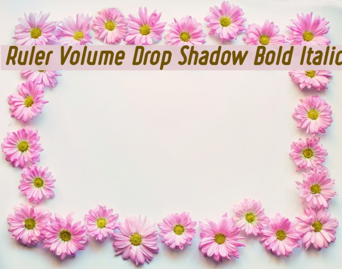 Ruler Volume Drop Shadow Bold Italic Font examples