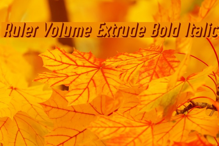 Ruler Volume Extrude Bold Italic Font examples