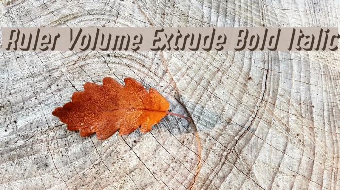 Ruler Volume Extrude Bold Italic Font examples