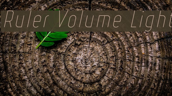 Ruler Volume Light Font examples