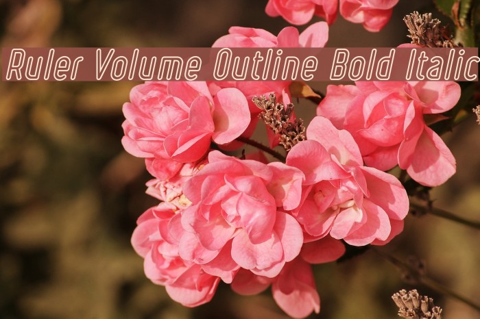 Ruler Volume Outline Bold Italic Font examples