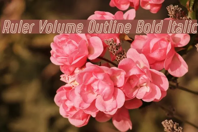 Ruler Volume Outline Bold Italic Example 1