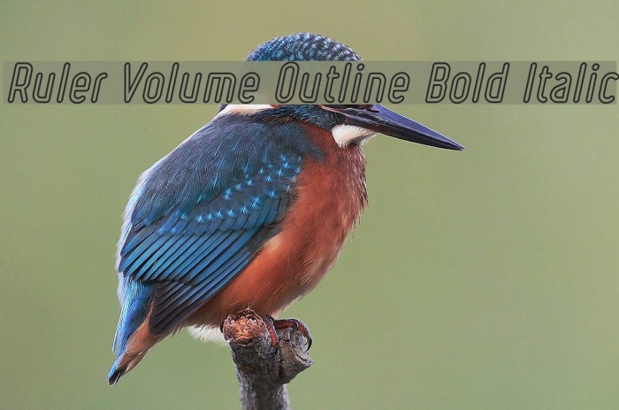 Ruler Volume Outline Bold Italic Font examples
