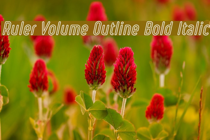 Ruler Volume Outline Bold Italic Font examples
