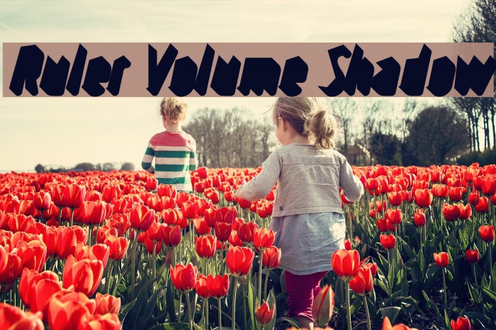 Ruler Volume Shadow Font examples