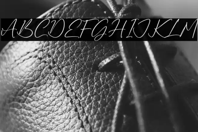 Ruliena फ़ॉन्ट examples