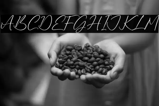 Ruliena फ़ॉन्ट examples