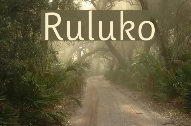 Ruluko Example 1