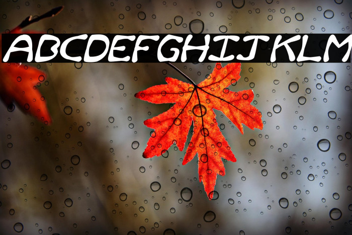 Rum and Bones Italic Example 1