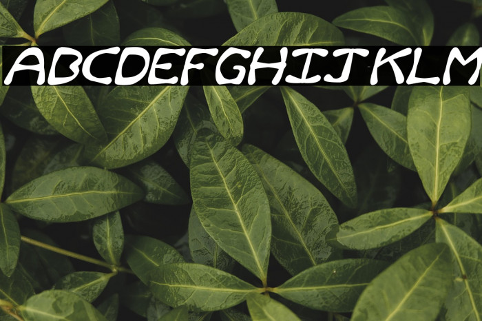 Rum and Bones Italic Example 2