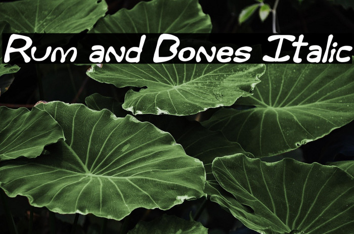 Rum and Bones Italic Example 2