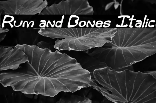 Rum and Bones Italic Font examples