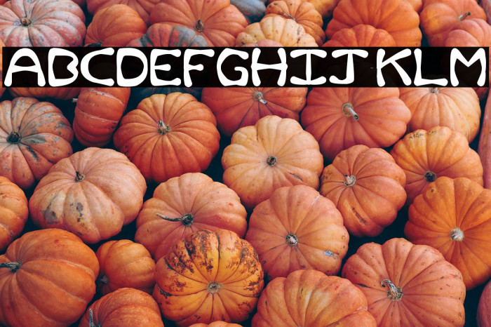 Rum and Bones Example 1