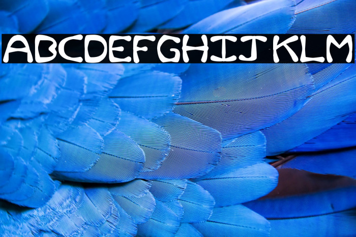 Rum and Bones Example 3