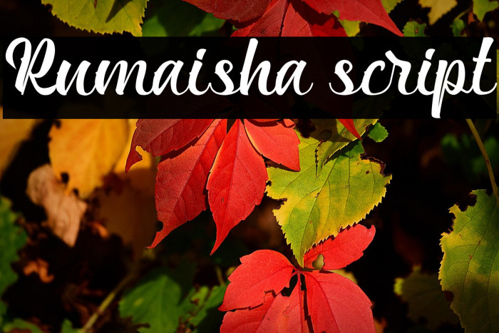 Rumaisha script Example 1