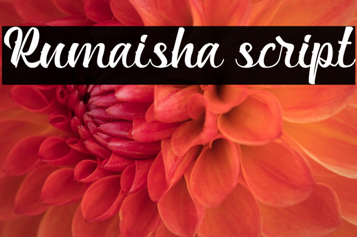 Rumaisha script Example 3