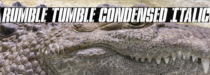 Rumble Tumble Condensed Italic Example 3