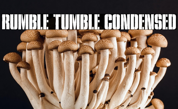 Rumble Tumble Condensed Example 3