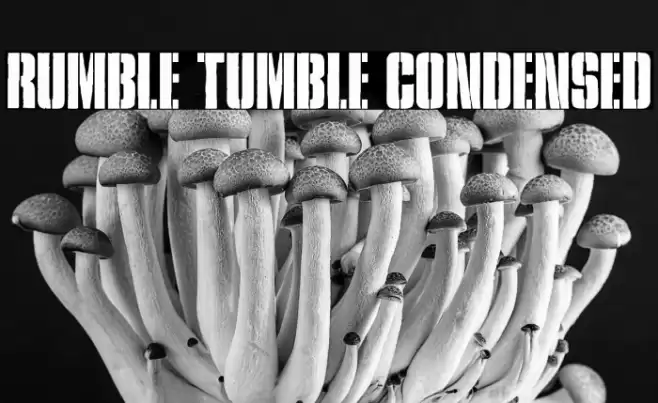 Rumble Tumble Condensed Font examples