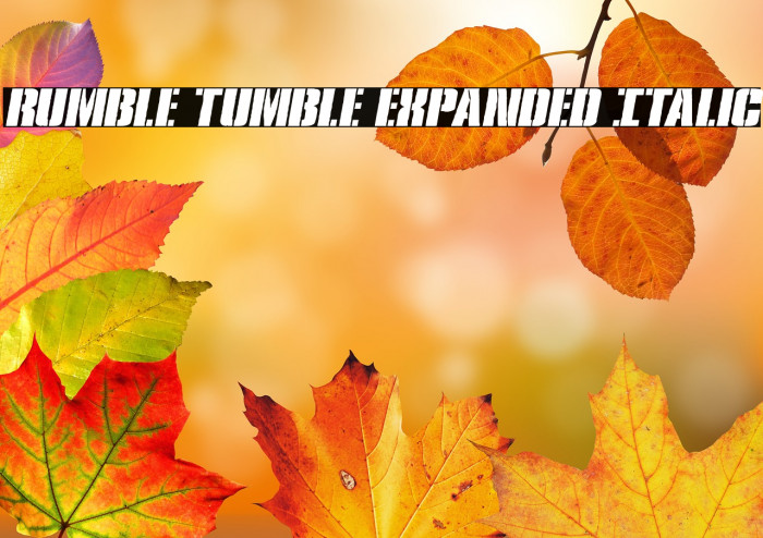 Rumble Tumble Expanded Italic Example 2