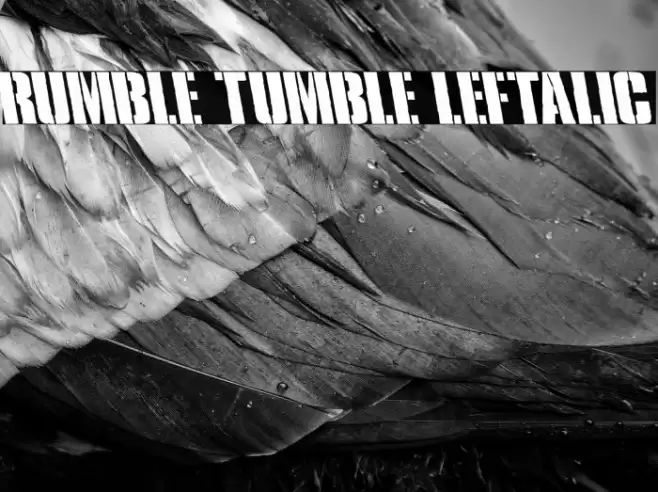 Rumble Tumble Leftalic Font examples