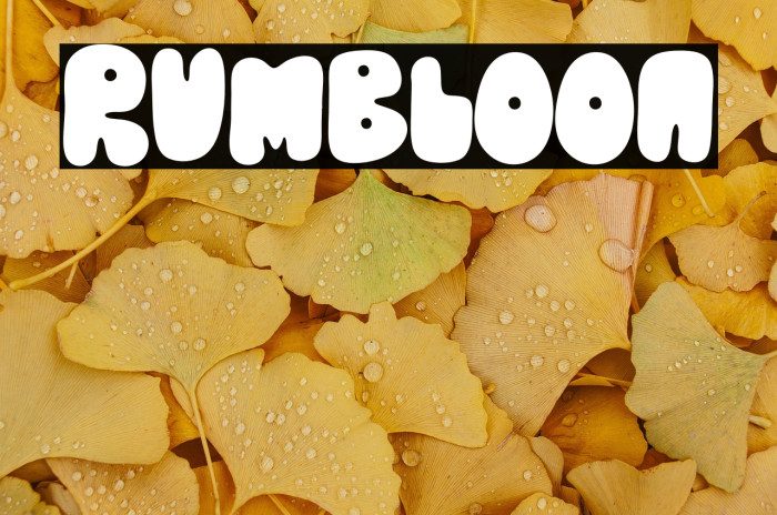 Rumbloon Example 1