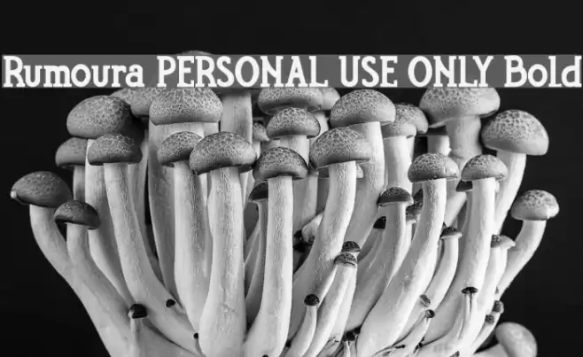 Rumoura PERSONAL USE ONLY Bold Font examples