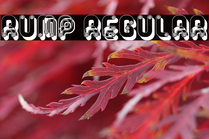 Rump Regular Example 1