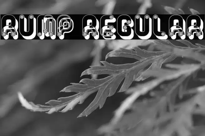Rump Regular Font examples