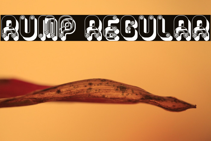 Rump Regular Example 2