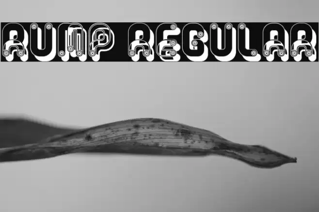 Rump Regular Font examples