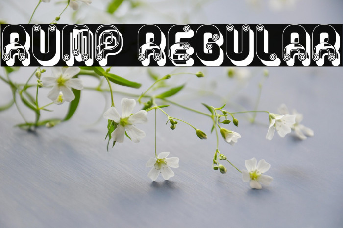 Rump Regular Example 3