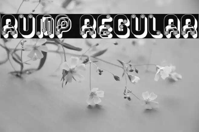 Rump Regular Font examples