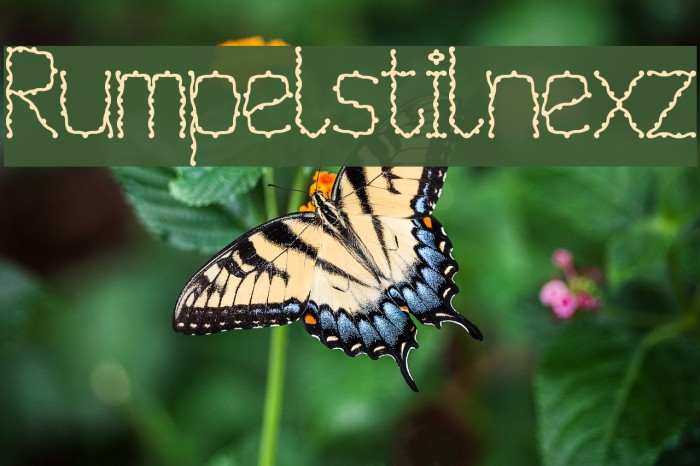 Rumpelstilnexz Font examples