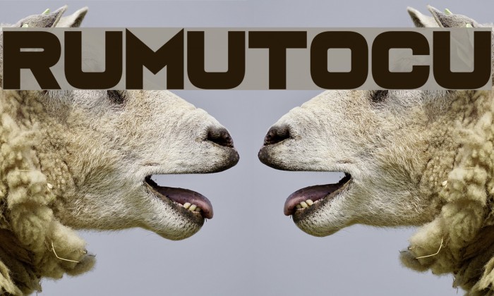 Rumutocu Font examples