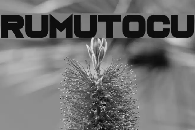 Rumutocu Font examples