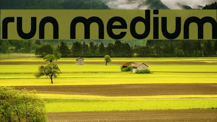 Run Medium Font examples