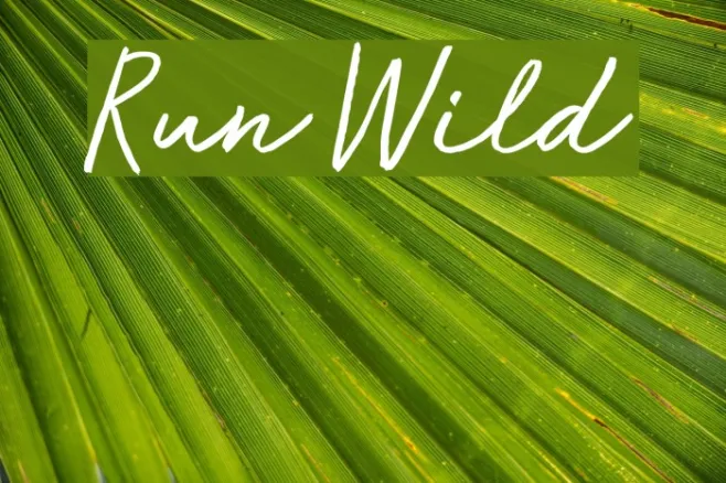 Run Wild Example 2