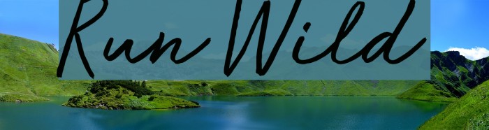 Run Wild Font examples