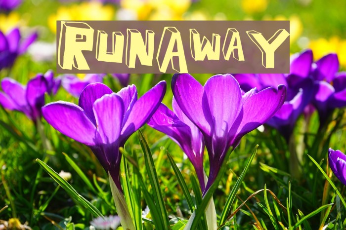 RunAway Font examples