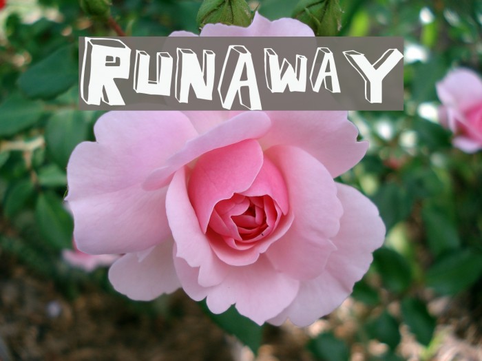 RunAway Font examples